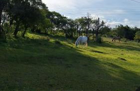 Rancho Bela Vista - o seu recanto em Pelotas - Foto 50