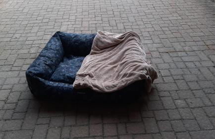 il Battito - Foto 37