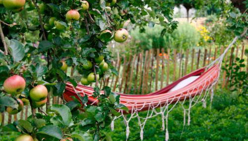 Kapitänshaus - Foto 5