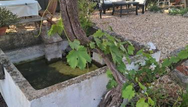 Páteo da Memória Casa do Pintor - Foto 4