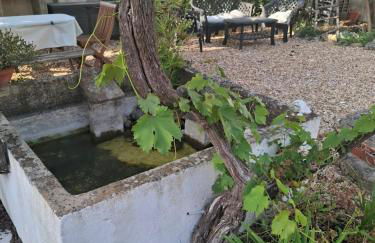 Páteo da Memória Casa do Pintor - Foto 4