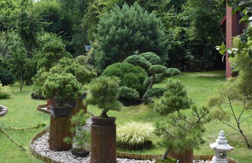 Ogród Shinrin Yoku (Haru) Odpoczynek w Lesie - Foto 11