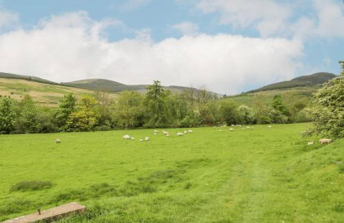 High Auchenbrack - Foto 30