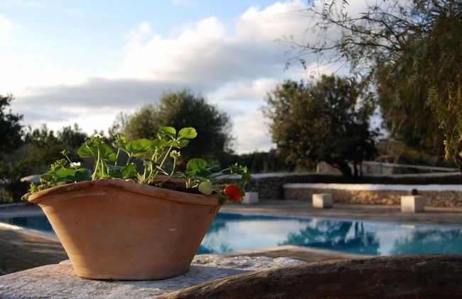 Agroturismo Biniati Des Pi - Photo 19