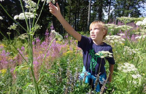 Ferienhaus Hornauer - Foto 42