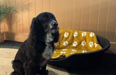 Central Plymouth Sea View Penthouse Apartment with Secure Parking - Foto 11