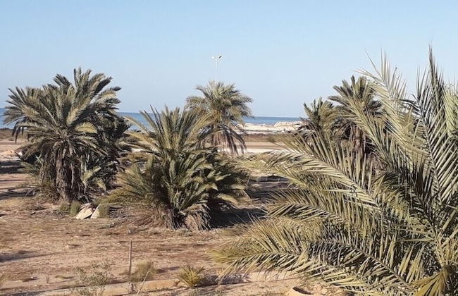 Bella Djerba - Foto 26