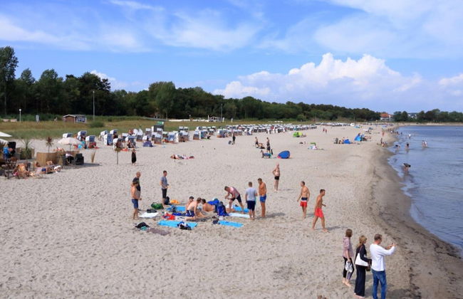 Bright Apartment in Boltenhagen near Sea - Photo 32