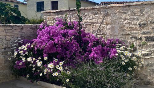 Casa Tratinella - Photo 2