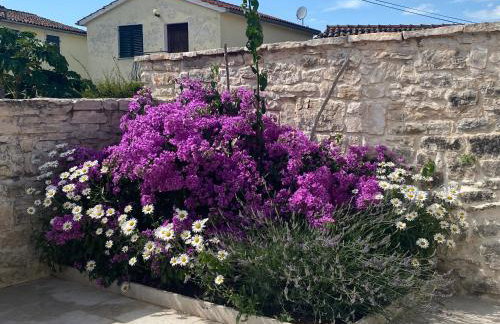 Casa Tratinella - Photo 2