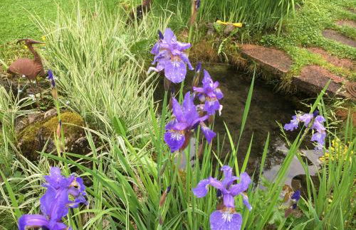 Landhaus Renata Bayrischzell - Foto 68