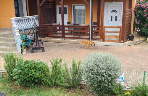 Apartments Šeherzada - Foto 70