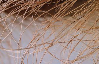 Stodoła naturalnie - wyjątkowy dom z balią na Kaszubach nad jeziorem - Foto 24