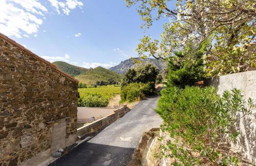 Holiday Home in Tautavel near Gorges de Gouleyrous - Photo 22