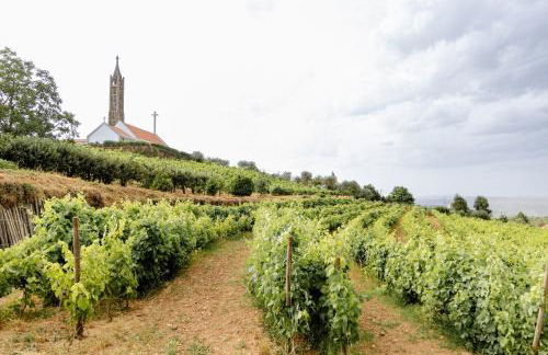 Casa das Nogueiras - Foto 37