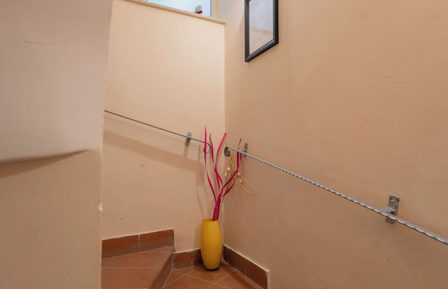 Artis Mare - Photo 80