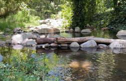 Vintage RV Creekside Nature Retreat near Ojai next to Swim Holes Hike - Foto 25