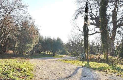 Montecasciano - Tulipano - Foto 28