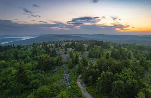 Panorama Point - Sauna, hot tub, theater room - Photo 65