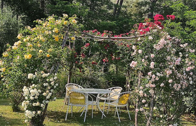 La Casa dei Ricordi in Buti - Foto 2