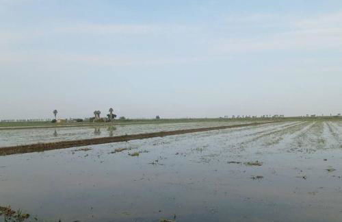 LoftCalJoan - Foto 18