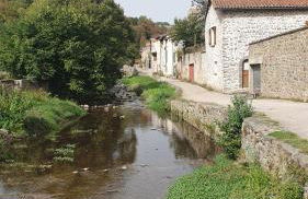 Le Poulailler - Foto 10