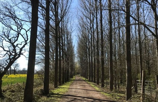 Delightful 4BD Home Full of Flair Edenbridge Kent - Foto 27