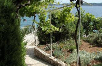 Apartments by the sea Kuciste - Perna, Peljesac - 4542 - Photo 10