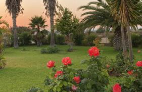 Mirador las Cumbres Conil - Piscina Jardín XL - Foto 23