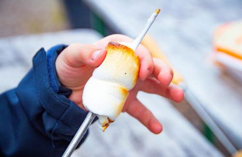 Meislahnhof Fehmarn - Foto 72