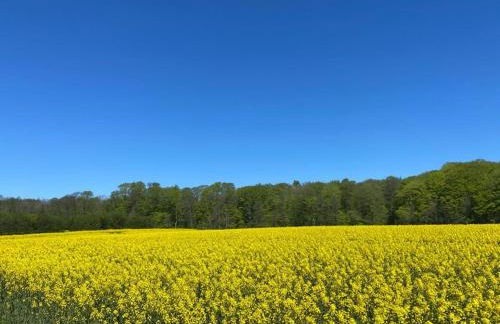 Ferienhaus Pippa in Kappeln an der Schlei - Photo 33