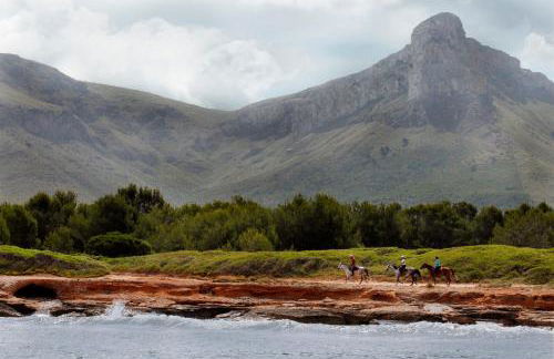 Finca Agroturismo Son Menut - Foto 96