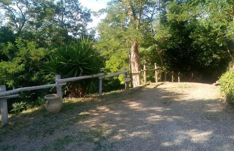 Casolare Toscano - Foto 57