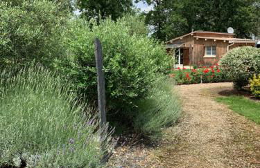 La Grenouillère - Foto 17