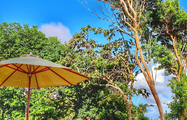 Blue Whale Villa - Photo 58