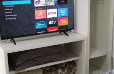 Studio Morano Calabro - Foto 5