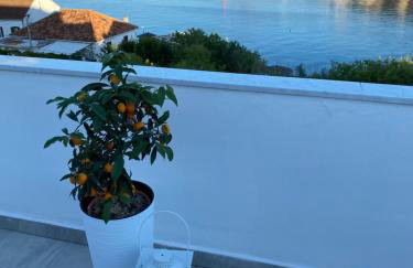 Apartmani Mia - Foto 43