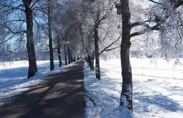 Ferienwohnung Nicole - Foto 20