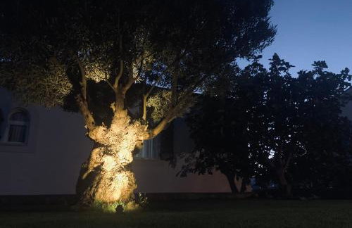 MyDayHouse - Foto 37