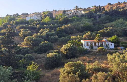 Villa Nama - Foto 35