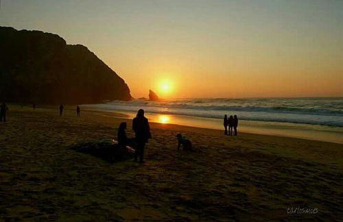 Casas do Pátio Sem Cantigas 4 - Foto 51