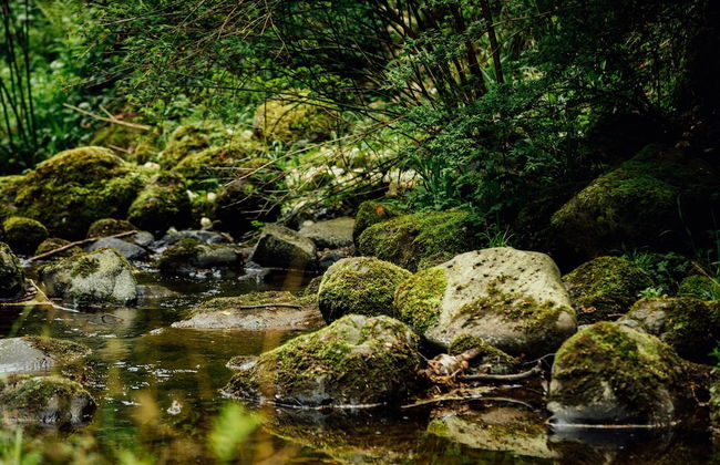 Stunning Premium Yurt in Kelburn Estate Near Largs - Photo 16
