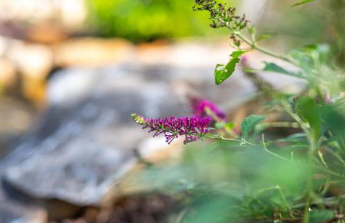 Full Bloom Tree House - Foto 64