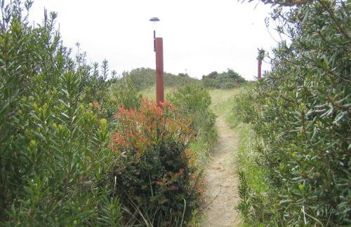 The Grey Gull - Foto 114