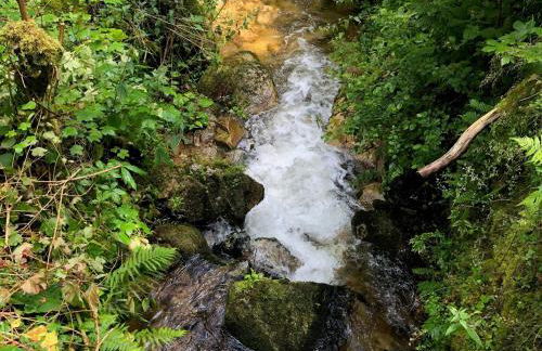 Waldbauernhof - Foto 55