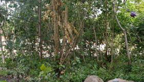 Gemütliche Ferienwohnung am See - Foto 3