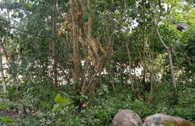 Gemütliche Ferienwohnung am See - Foto 3