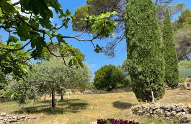 Le mas Louga - Foto 7