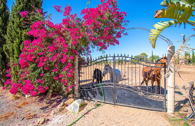 Yoba Horse Farm in Carvoeiro - Foto 54