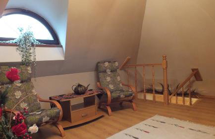 Bieszczadzki Dworek - Foto 19